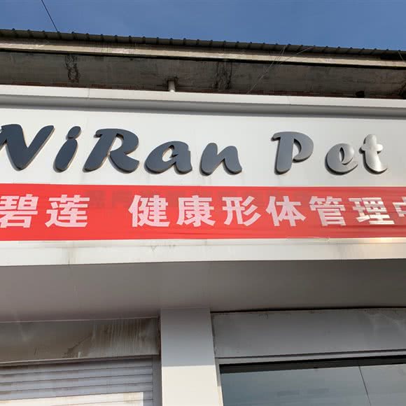 NiRanPet:沧州市任丘市