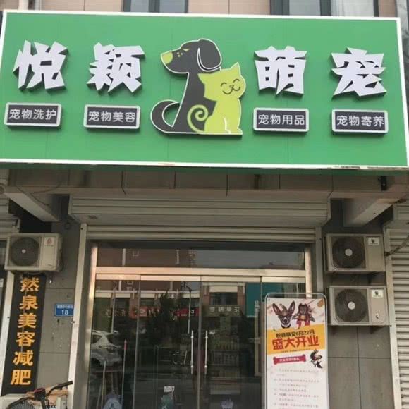 悦颖萌宠宠物店:沧州市黄骅市