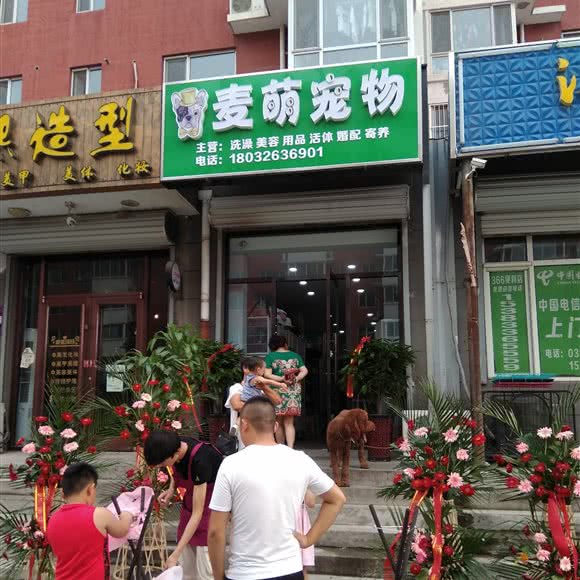 麦萌宠物:廊坊市广阳区