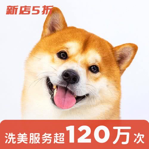 宠物家(远洋一方店):北京城区朝阳区管庄附近