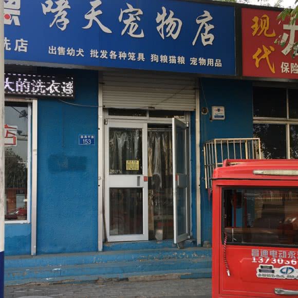 哮天宠物店:廊坊市永清县