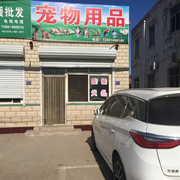 宠物用品:廊坊市永清县