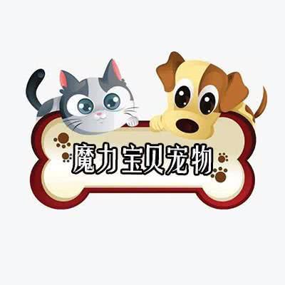 魔力宝贝宠物·SPA·美容:廊坊市香河县