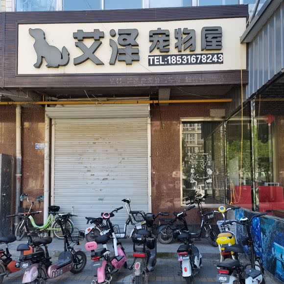 艾泽宠物屋:廊坊市大城县