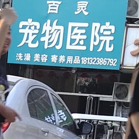 百灵宠物医院:保定市莲池区北国商城/钟楼附近