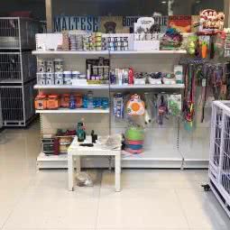 我的宠物店:廊坊市大厂回族自治县