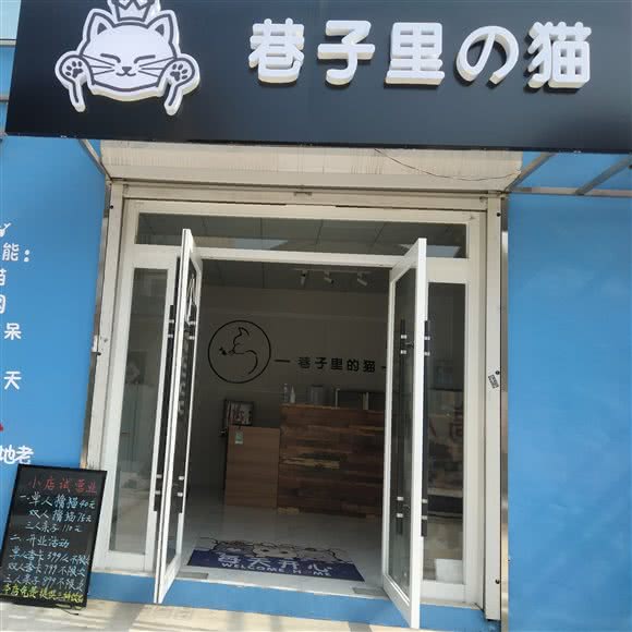巷子里的猫:廊坊市霸州市