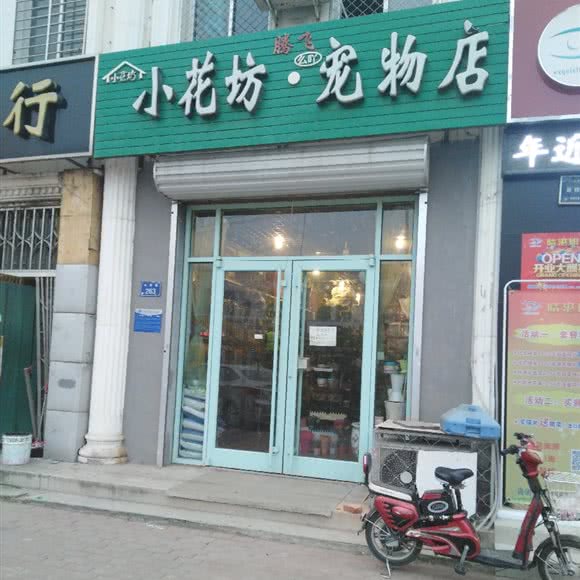 腾飞小花坊·宠物店:廊坊市霸州市