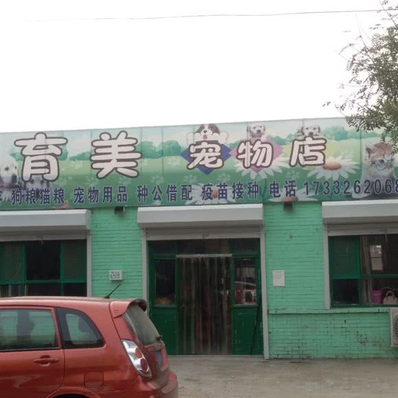 育美宠物店:廊坊市霸州市