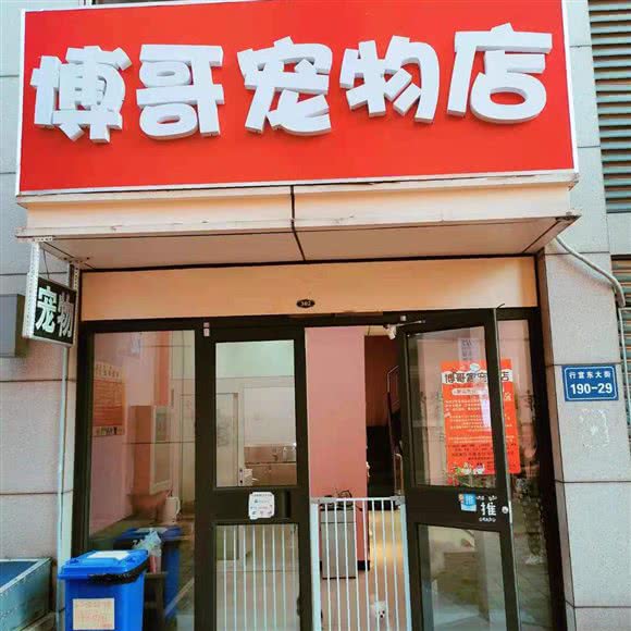 博哥宠物店:廊坊市三河市