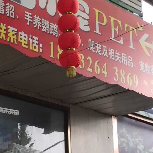 小宠pet:廊坊市三河市