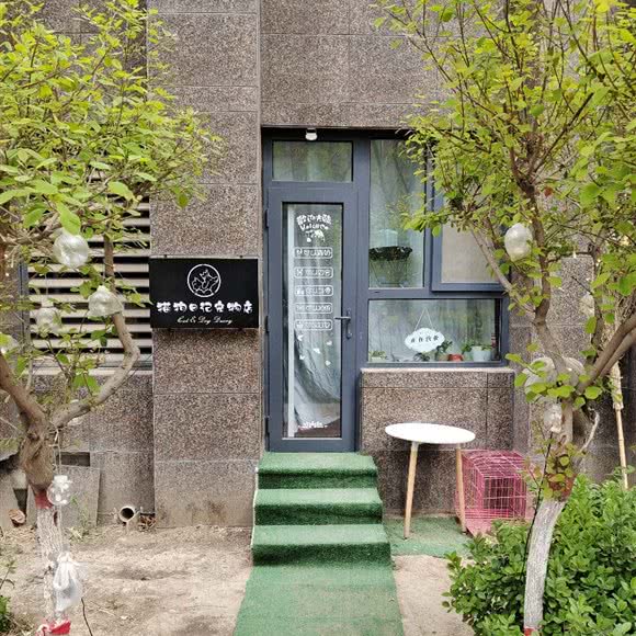 猫狗日记宠物店:廊坊市三河市