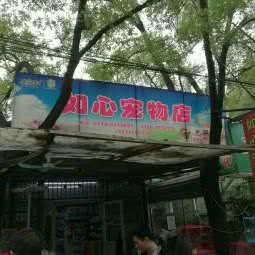 如心宠物店:廊坊市三河市