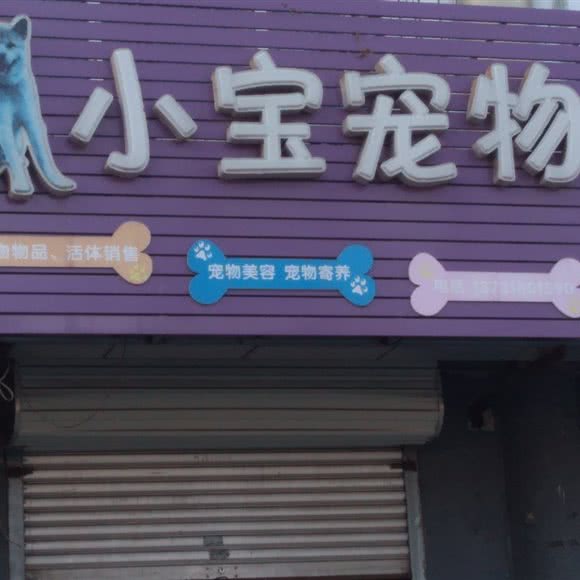 小宝宠物:廊坊市三河市
