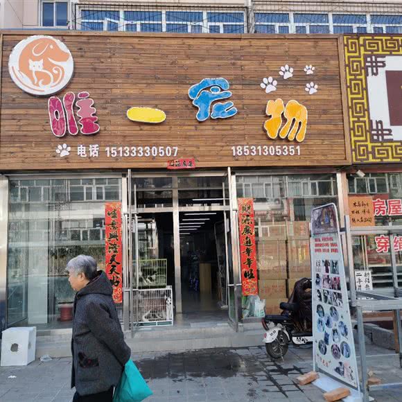 唯一宠物:张家口市桥东区百盛附近