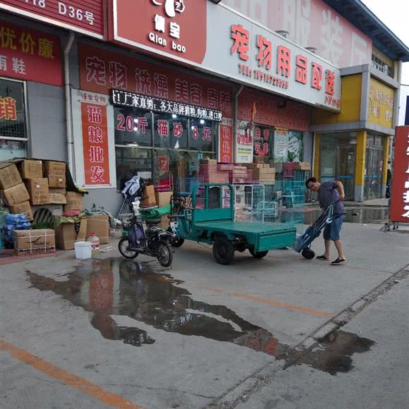 倩皇宠物用品配送:廊坊市三河市