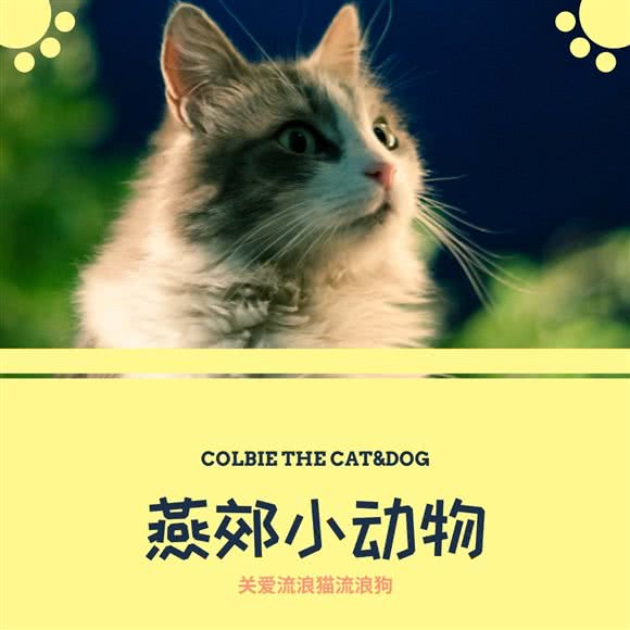 禾仕宠服·燕郊小动物诊疗中心(国道店):廊坊市三河市
