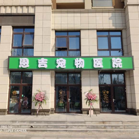燕郊恩吉宠物医院(黄金蓝湾店):廊坊市三河市