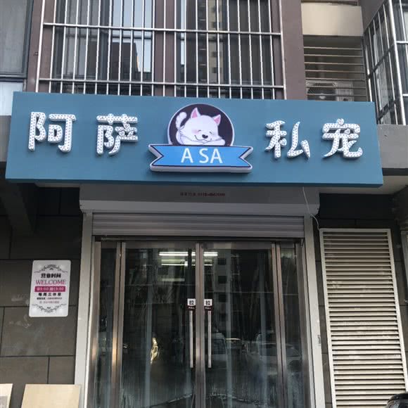 阿萨私宠:张家口市桥东区北方学院附近