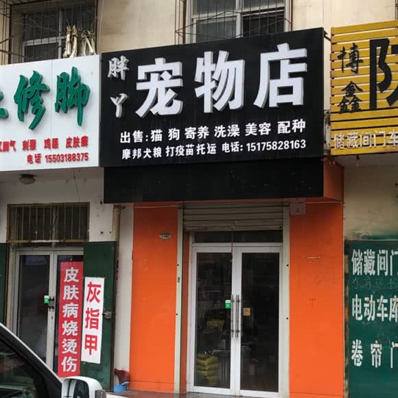 胖丫宠物店:衡水市桃城区