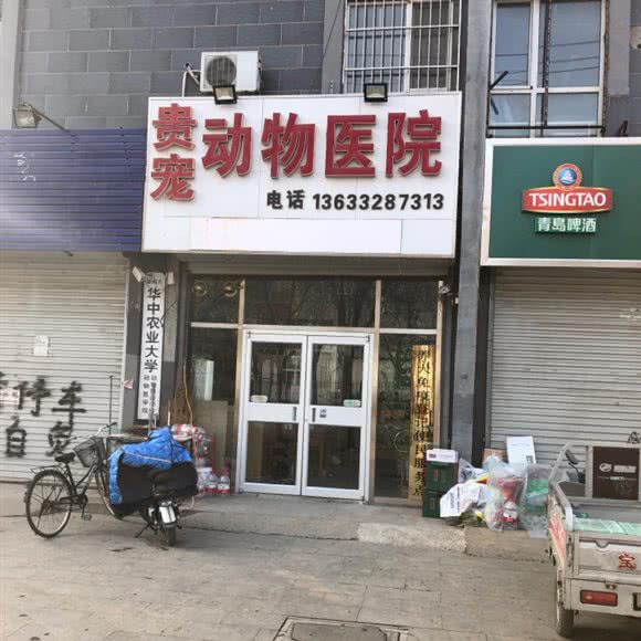 贵宠动物医院:衡水市桃城区