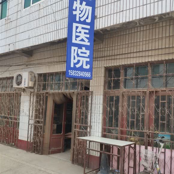 宠物医院:衡水市故城县