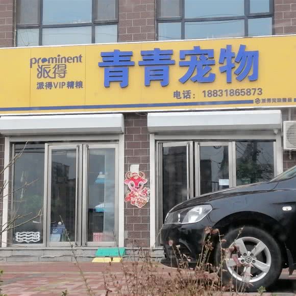 青青宠物:衡水市深州市