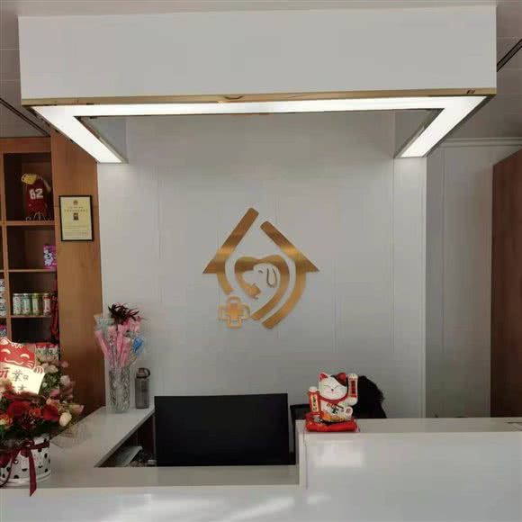 宝可梦动物门诊:衡水市深州市