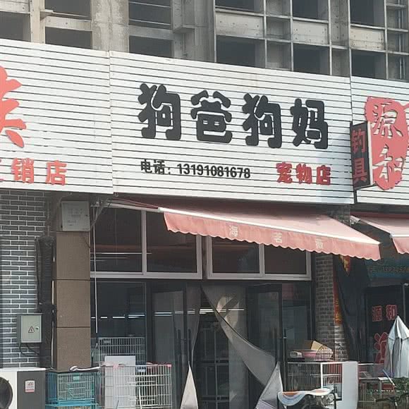 狗爸狗妈宠物店:太原市小店区