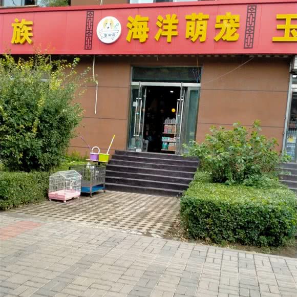 海洋萌宠:太原市杏花岭区