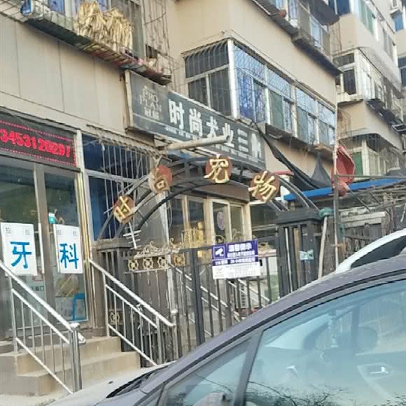 时尚宠物:太原市杏花岭区