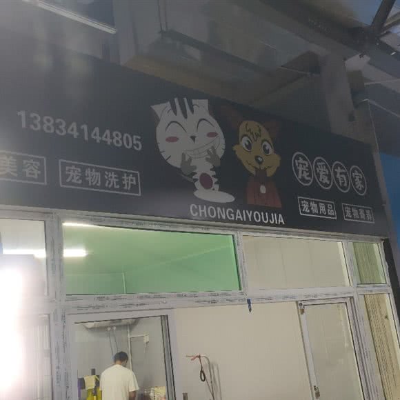 宠爱有家:太原市尖草坪区