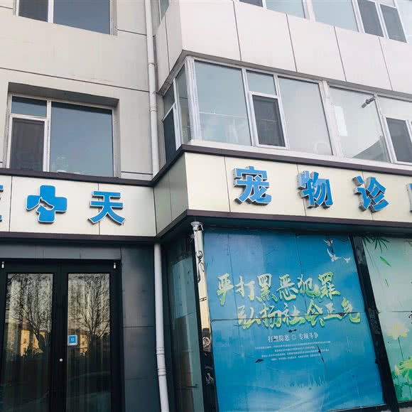 蓝天宠物诊所:太原市尖草坪区