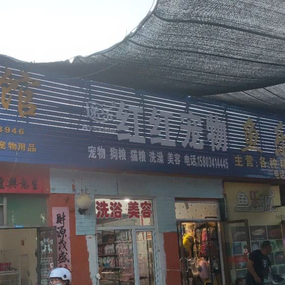 递乐红红宠物:太原市万柏林区
