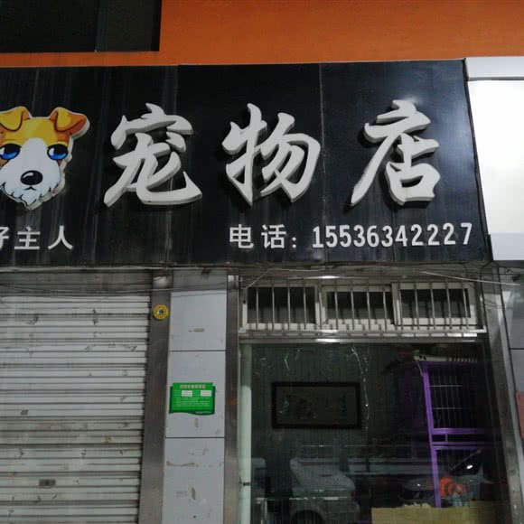 好主人宠物:太原市古交市