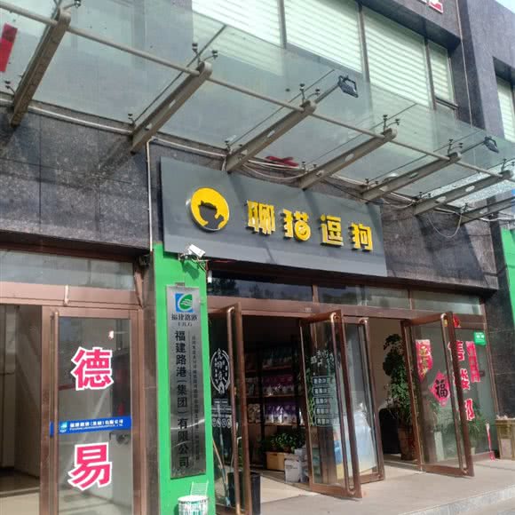 聊猫逗狗:太原市古交市