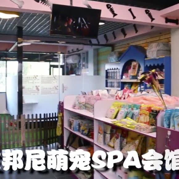 赫邦尼萌宠SPA会馆·猫舍:大同市平城区