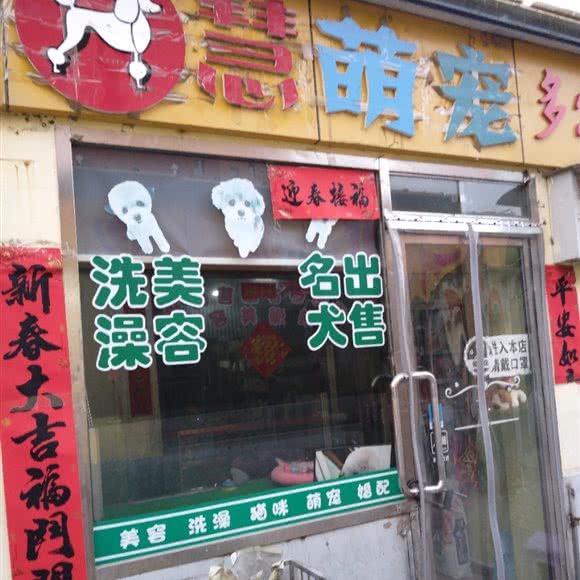慧萌宠:大同市平城区