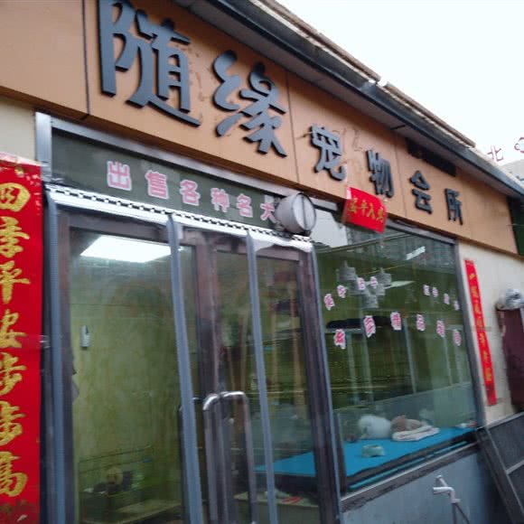 随缘宠物会所:大同市平城区