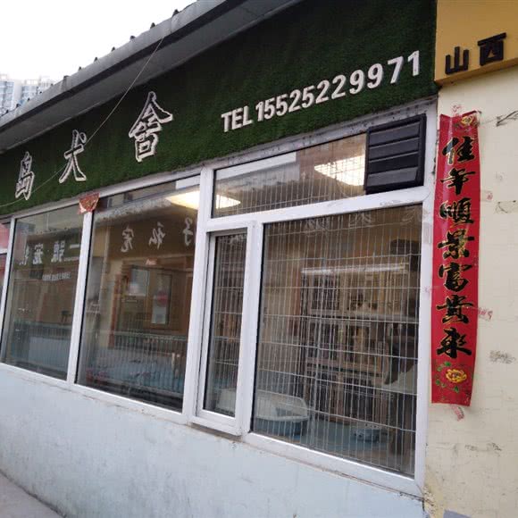 离岛犬舍:大同市平城区