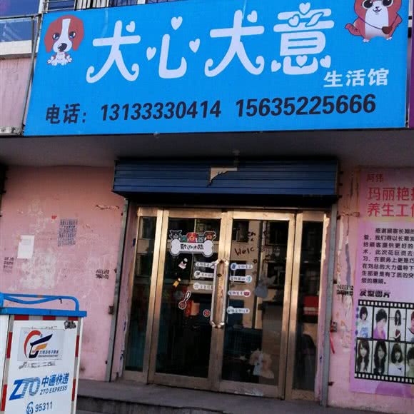 犬心犬意生活馆:大同市云冈区