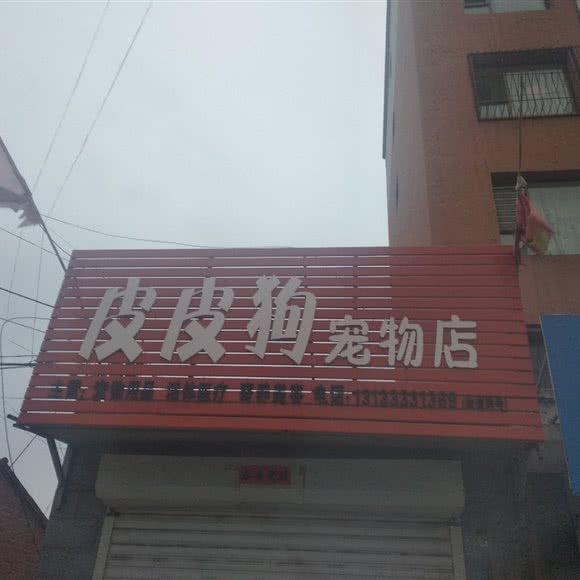 皮皮狗咖啡店:大同市左云县