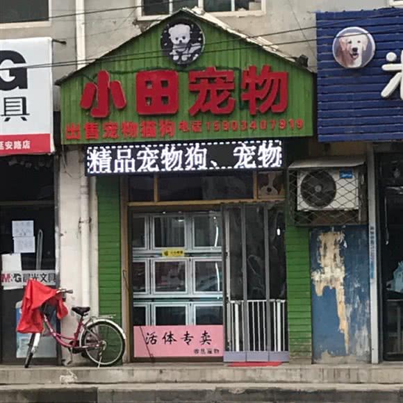 小田宠物:长治市潞州区