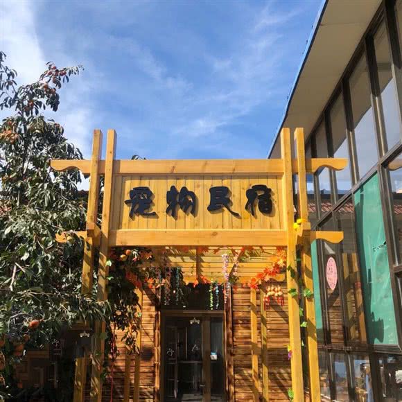 狗狗管家宠物寄养:长治市潞州区