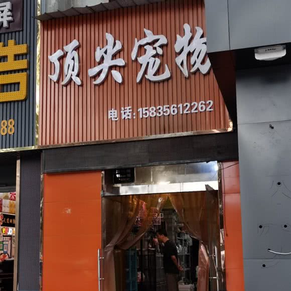 顶尖宠物:晋城市高平市