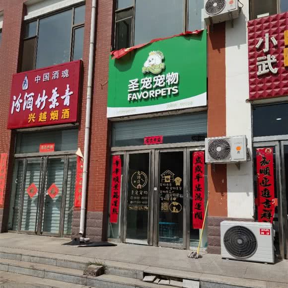 圣宠宠物(鄯阳西街店):朔州市朔城区