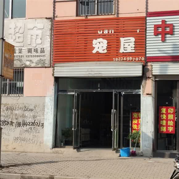 宠屋:朔州市朔城区