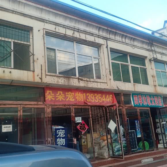 朵朵宠物:晋中市寿阳县
