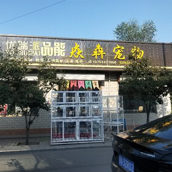 猋犇宠物:晋中市祁县