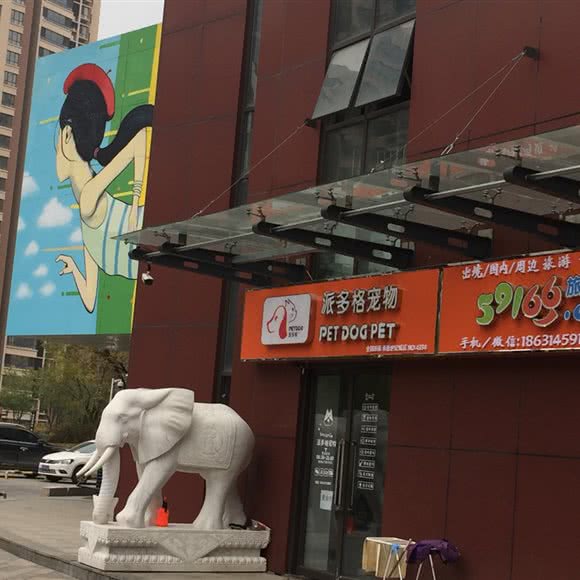 派多格宠物(承德世纪城店):承德市双桥区迎宾路附近